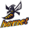 logo_10_hornet