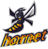 logo_10_hornet