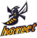 logo_10_hornet